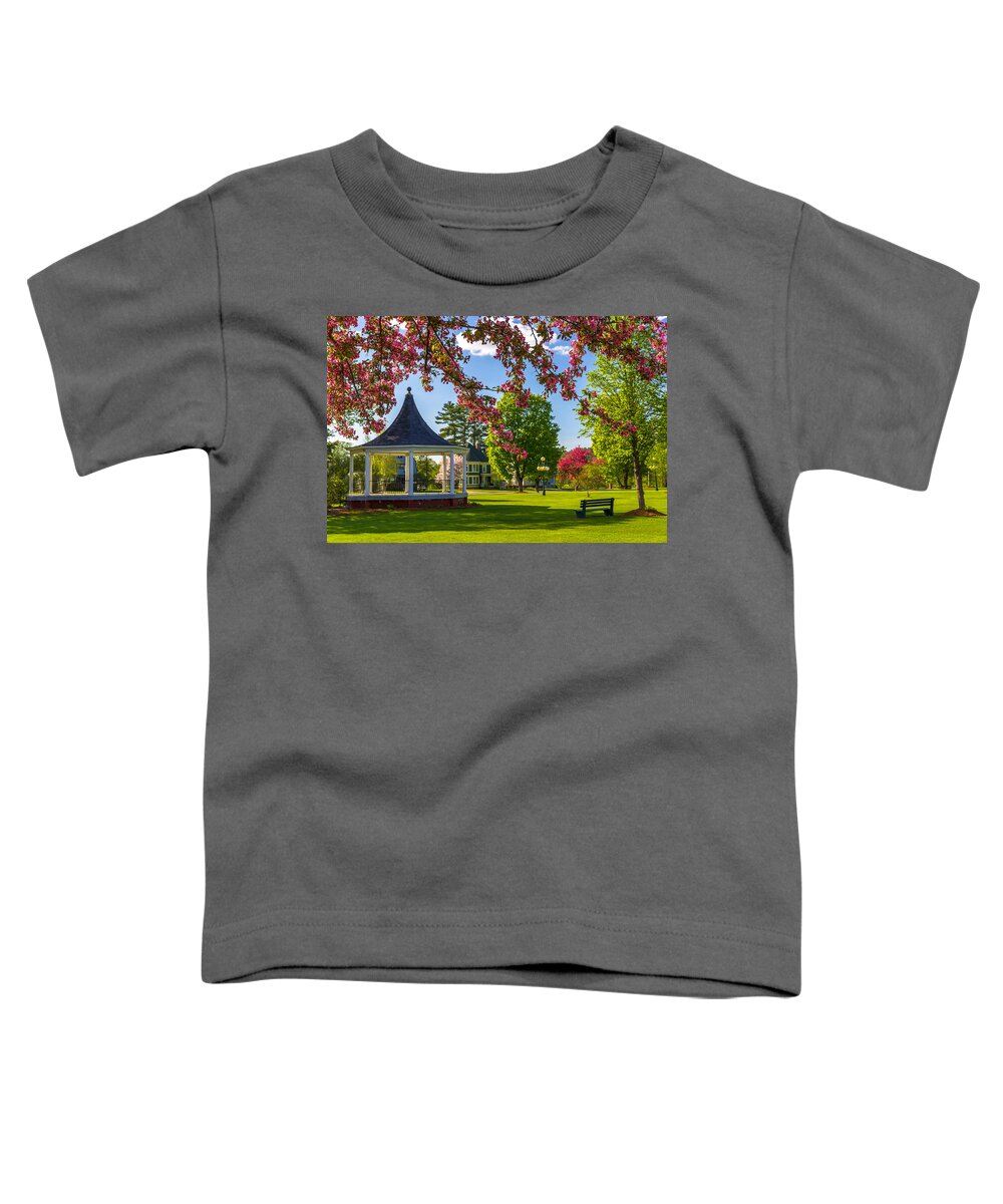 Park Toddler T-Shirt featuring the photograph Blossoms and Benches by Tim Kirchoff