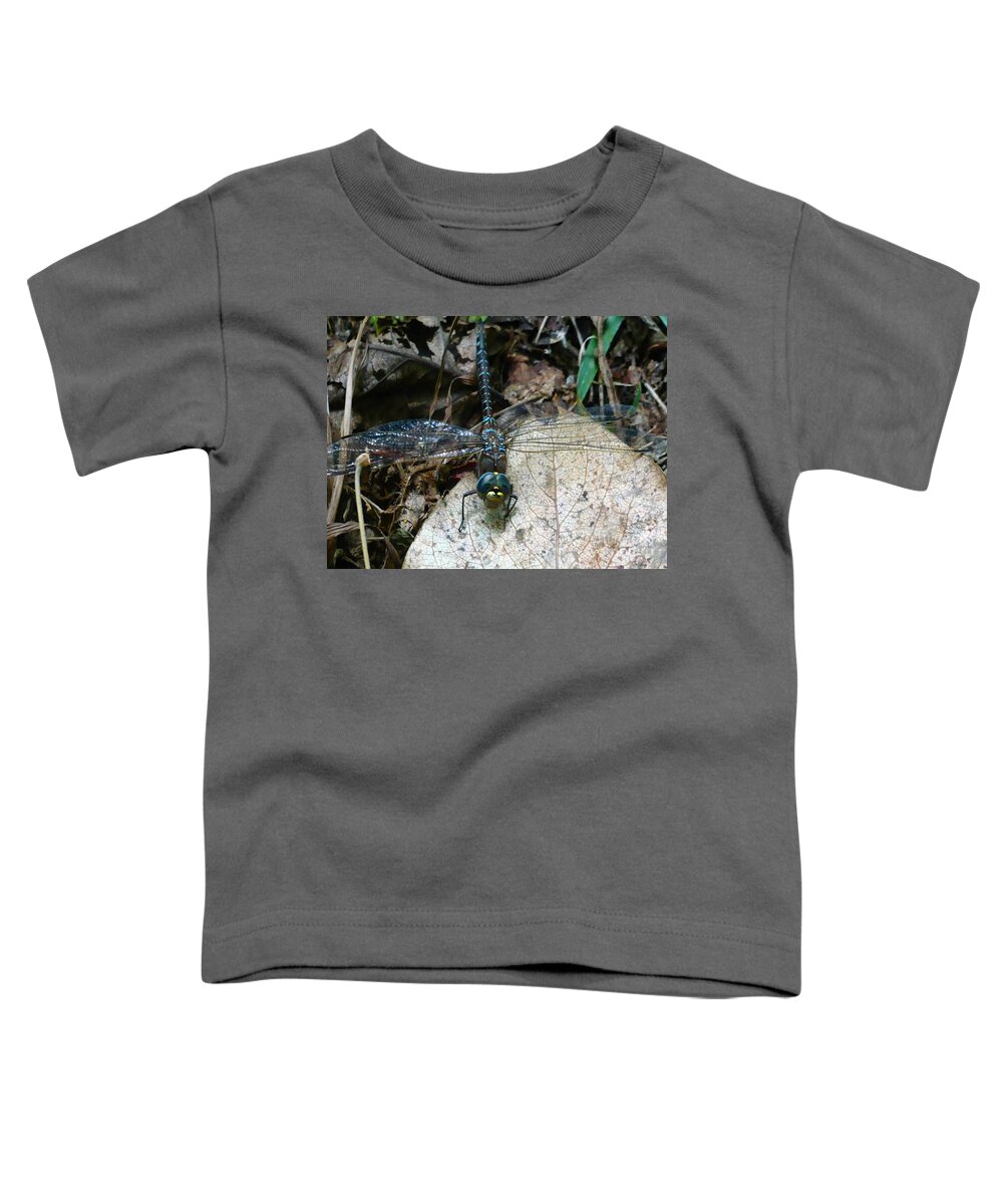 Blue Toddler T-Shirt featuring the photograph Blue Dragonfly by 'REA' Gallery