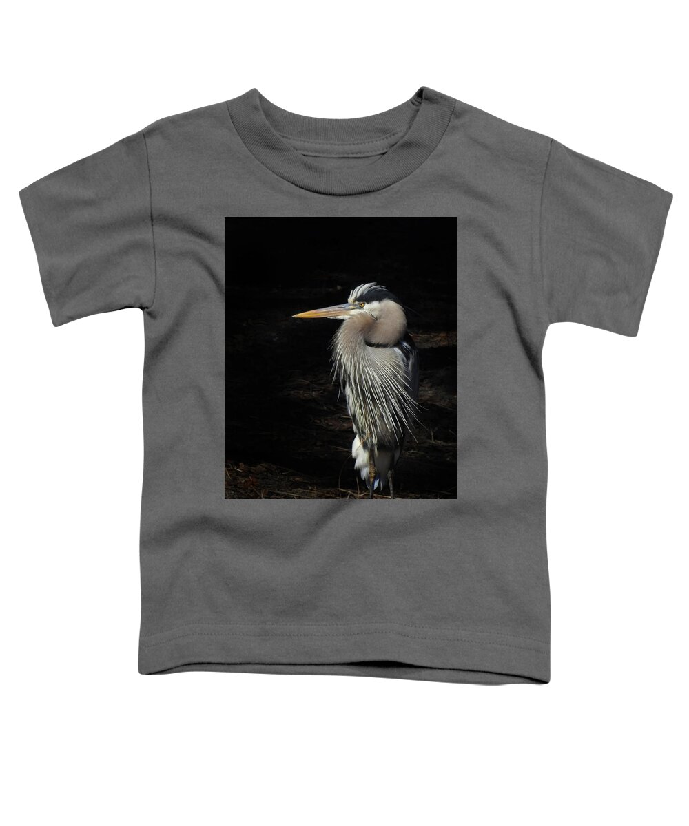 Great Blue Heron Toddler T-Shirt featuring the photograph Blue Heron Gaze by Deborah Smith