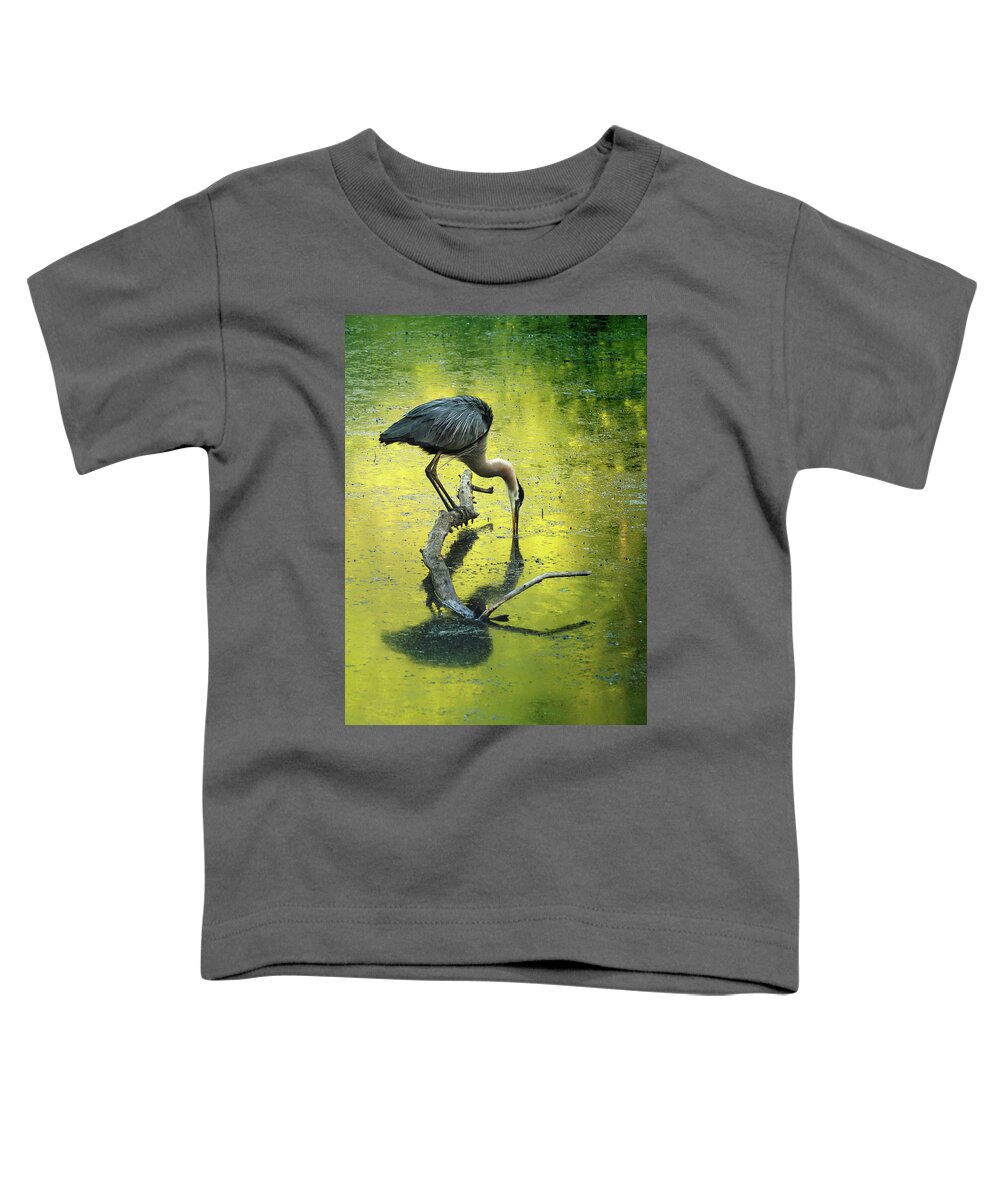 Blue Heron Toddler T-Shirt featuring the photograph Blue Heron Reflection by Rob Blair