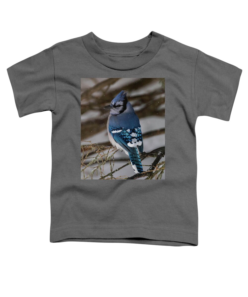 Bird Toddler T-Shirt featuring the photograph Blue Jay by Jody Partin