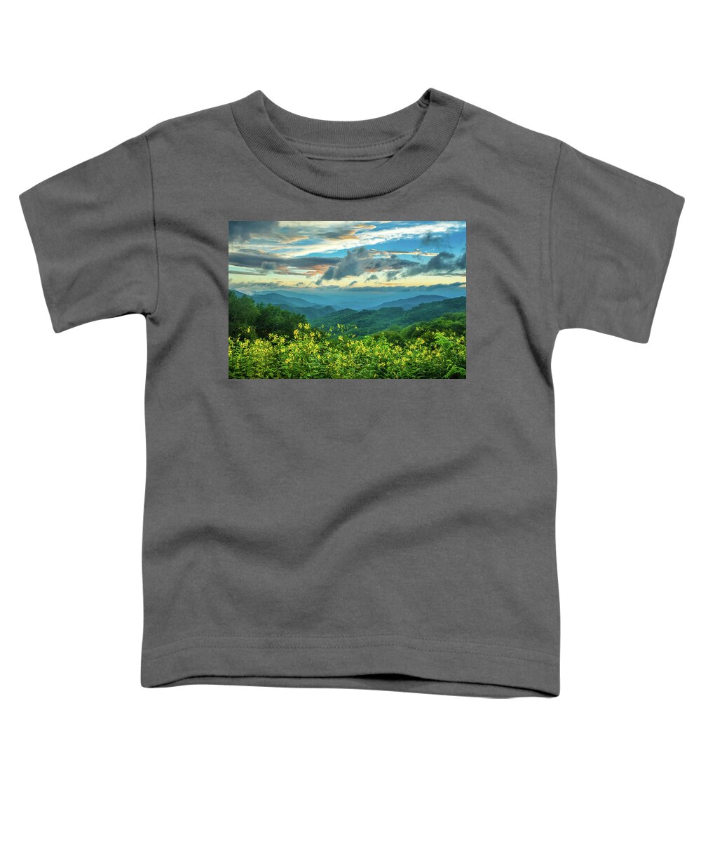 Wildflowers Toddler T-Shirt featuring the photograph Blue Ridge Parkway NC Wildflower Sunset by Robert Stephens