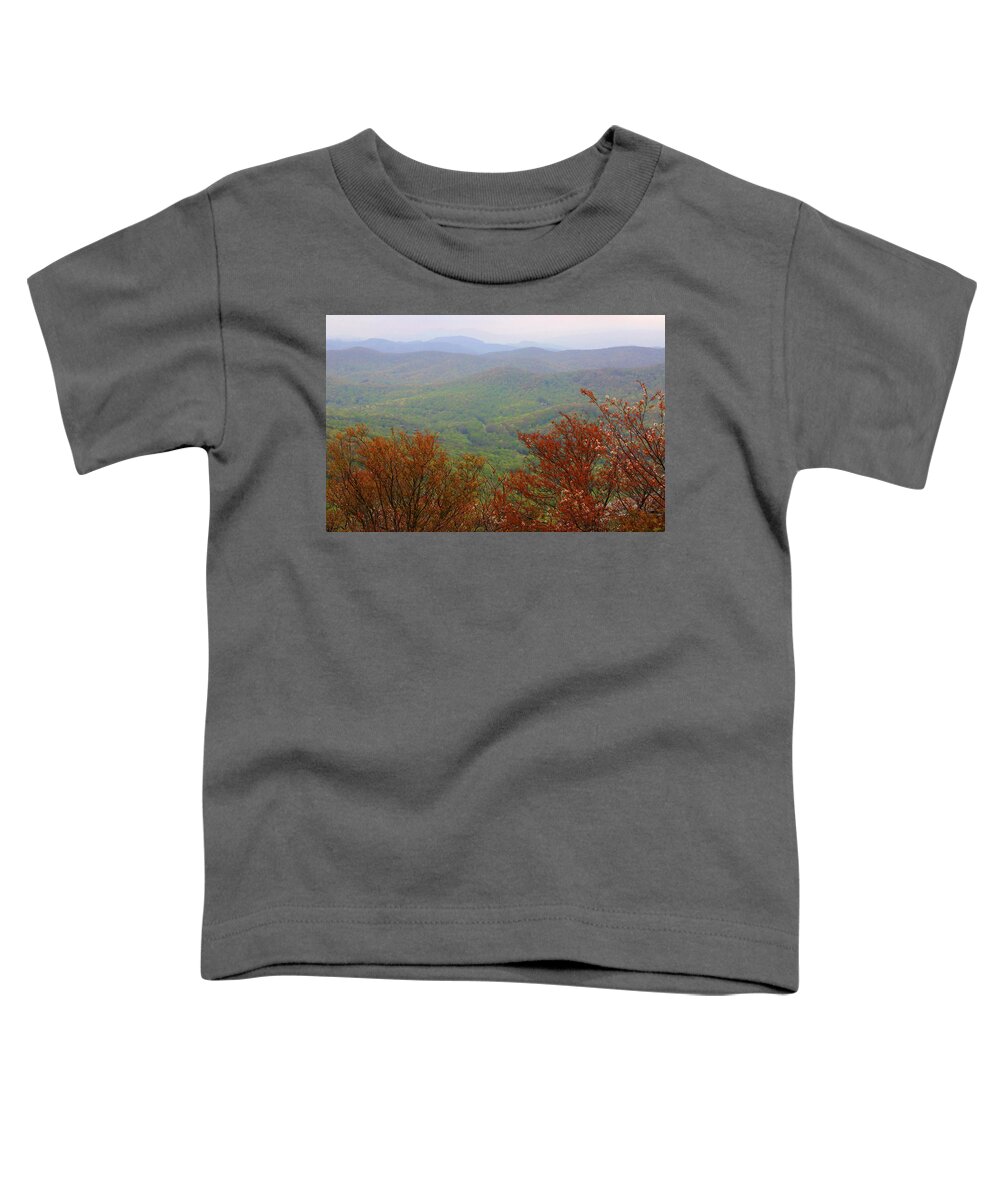 Landscape Toddler T-Shirt featuring the photograph Blue Ridge View 2 by Karol Livote