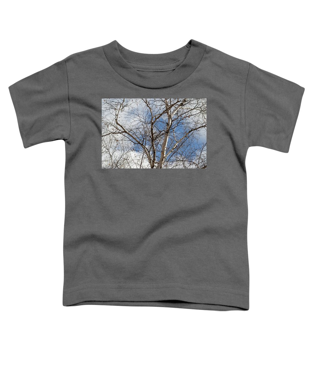 Birch Trees Toddler T-Shirt featuring the photograph Blue Sky in the Middle - by Julie Weber