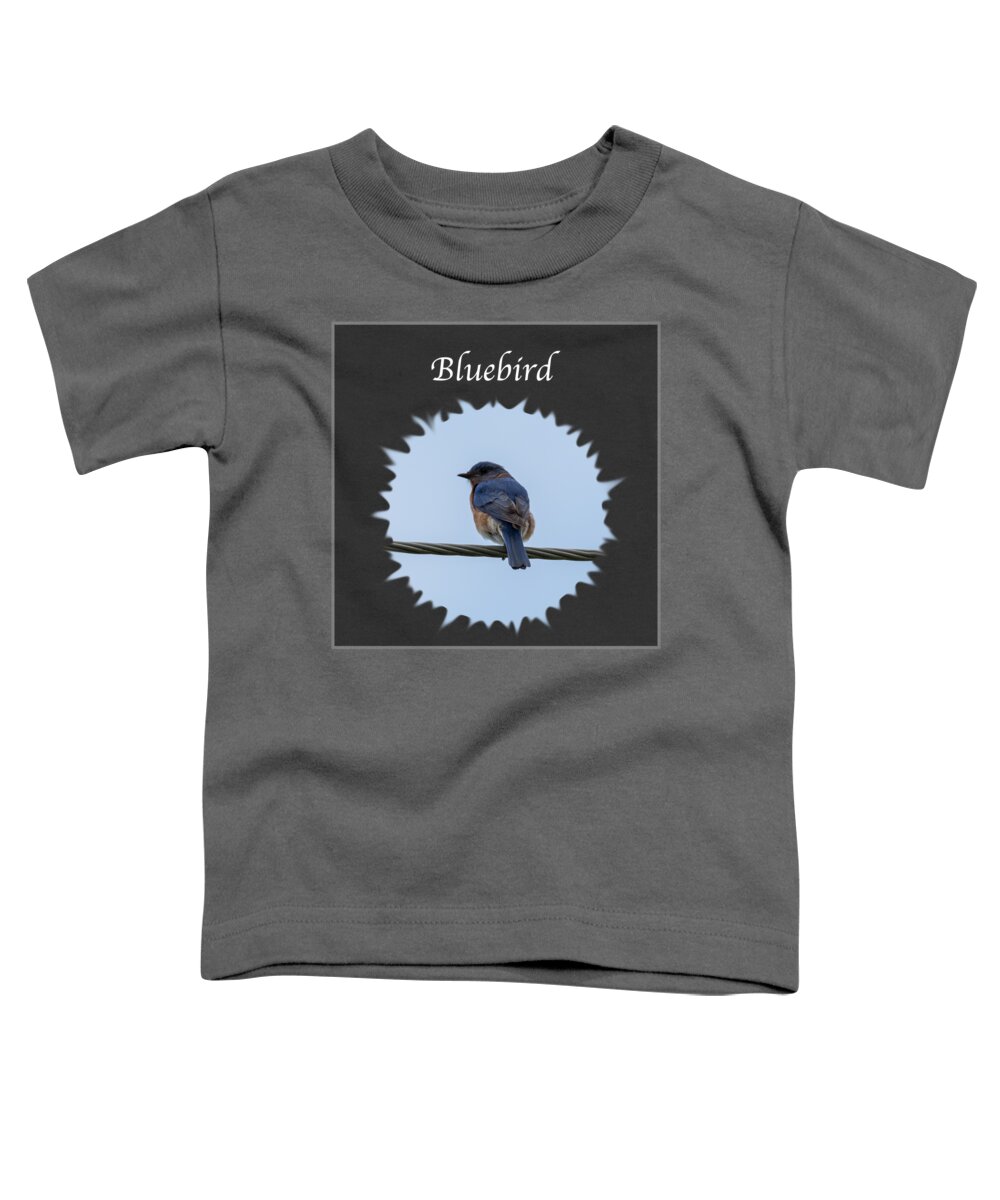 Eastern Bluebird Toddler T-Shirt featuring the photograph Bluebird by Holden The Moment