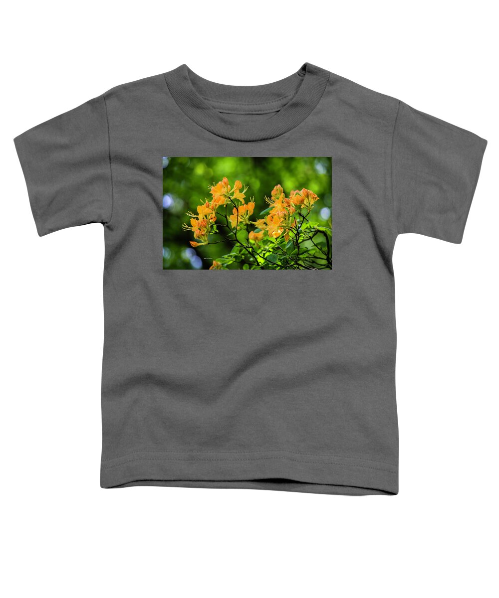 Azaela Toddler T-Shirt featuring the photograph Golden Flame by Dale R Carlson