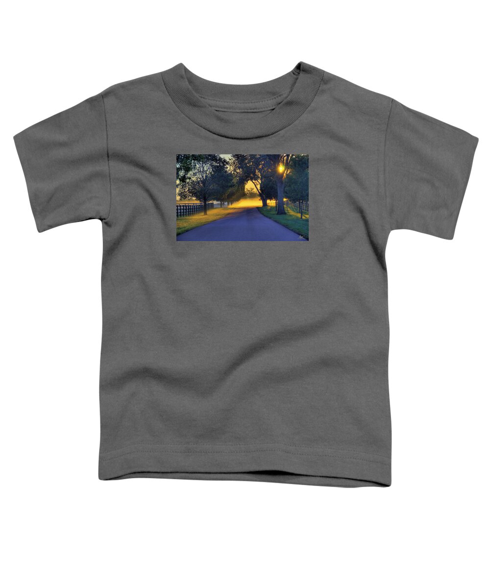 Land Toddler T-Shirt featuring the photograph Boardwalk Sunrise by Sam Davis Johnson