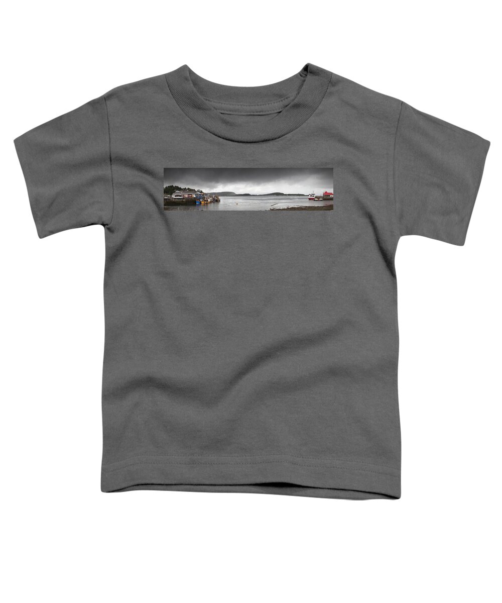 Moored Toddler T-Shirt featuring the photograph Boats Moored In The Harbor Oban by John Short