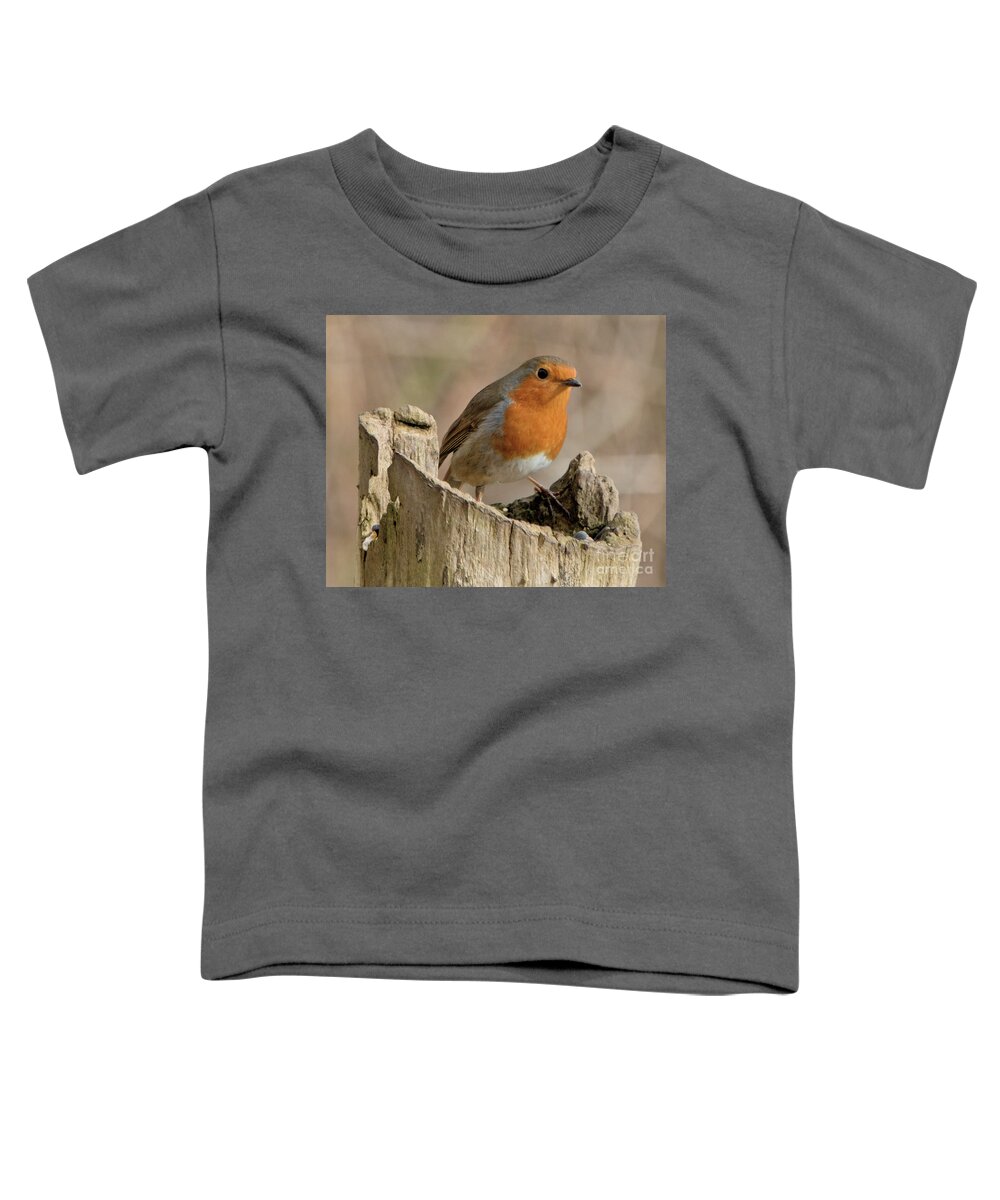 Bird Toddler T-Shirt featuring the photograph Bobbin Robin by Baggieoldboy