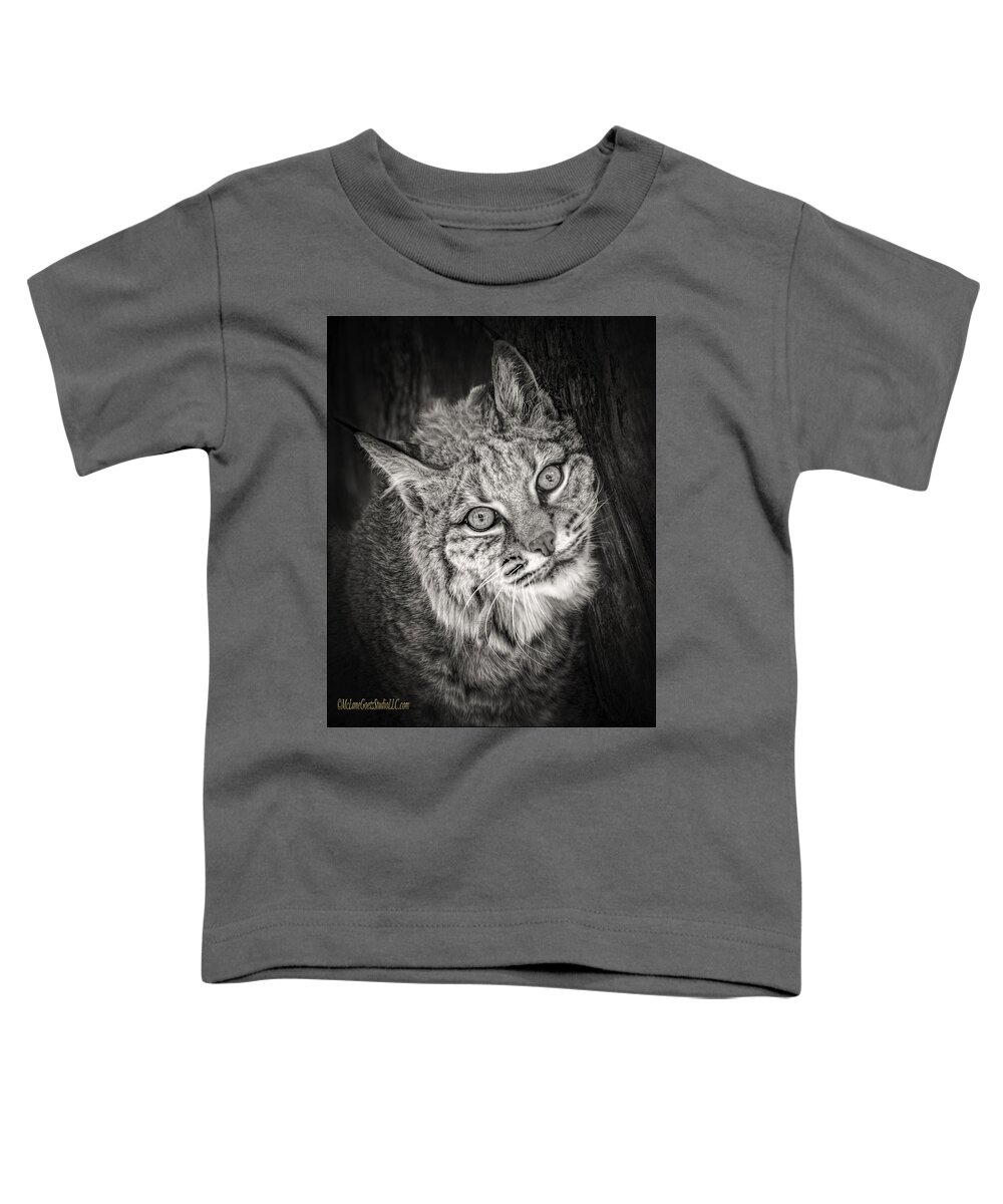 Bobcat Toddler T-Shirt featuring the photograph Bobcat Monochrome by LeeAnn McLaneGoetz McLaneGoetzStudioLLCcom
