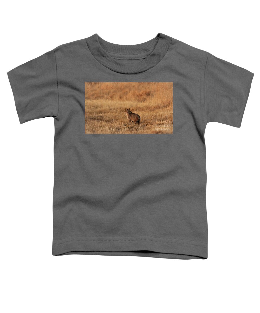 Bobcat Toddler T-Shirt featuring the photograph Bobcat by Thomas Danilovich