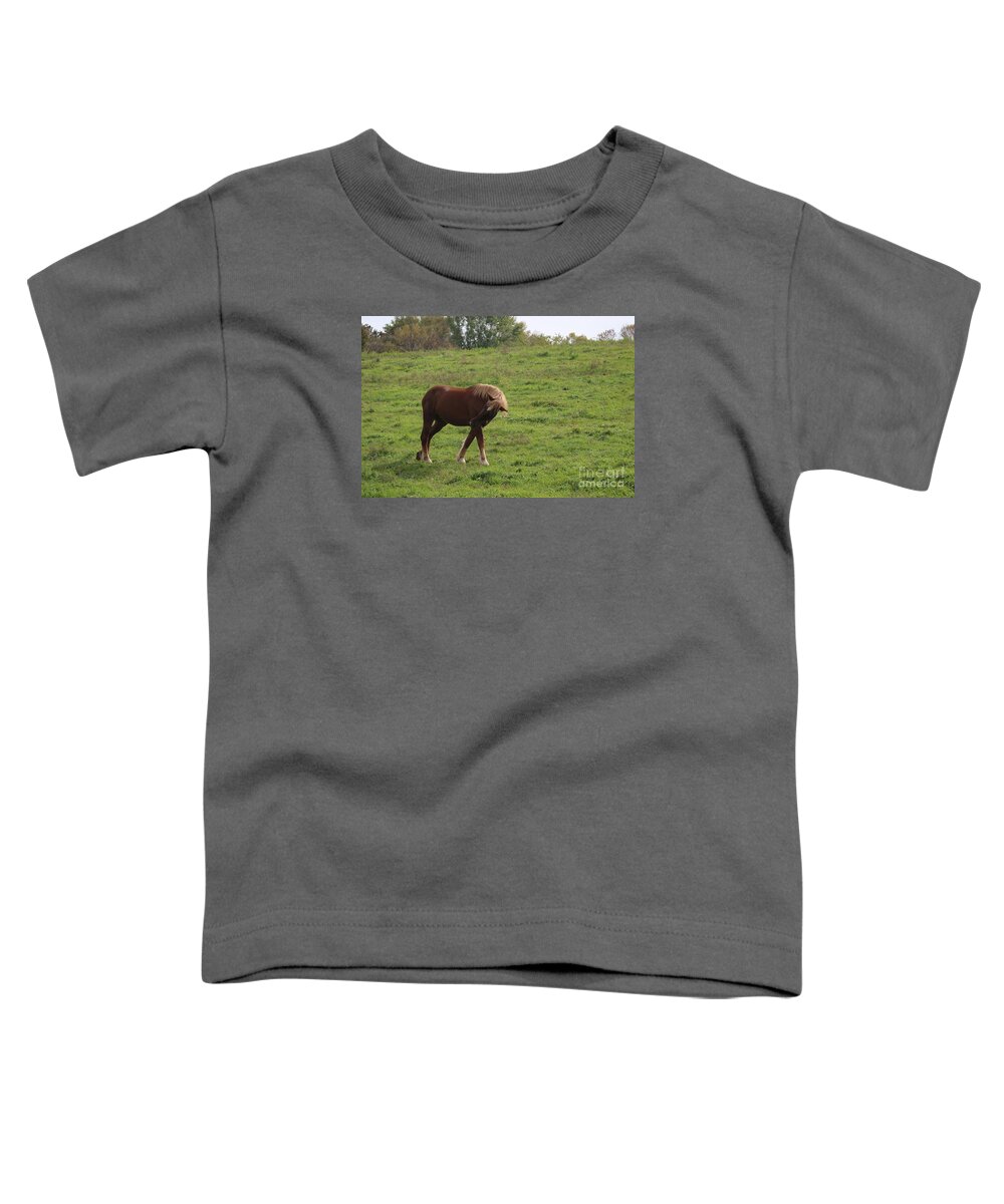 Horse Toddler T-Shirt featuring the photograph Bow by Yumi Johnson