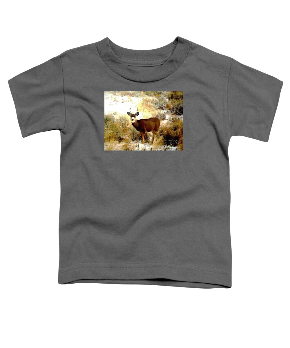 Expressive Toddler T-Shirt featuring the photograph Boy by Lenore Senior