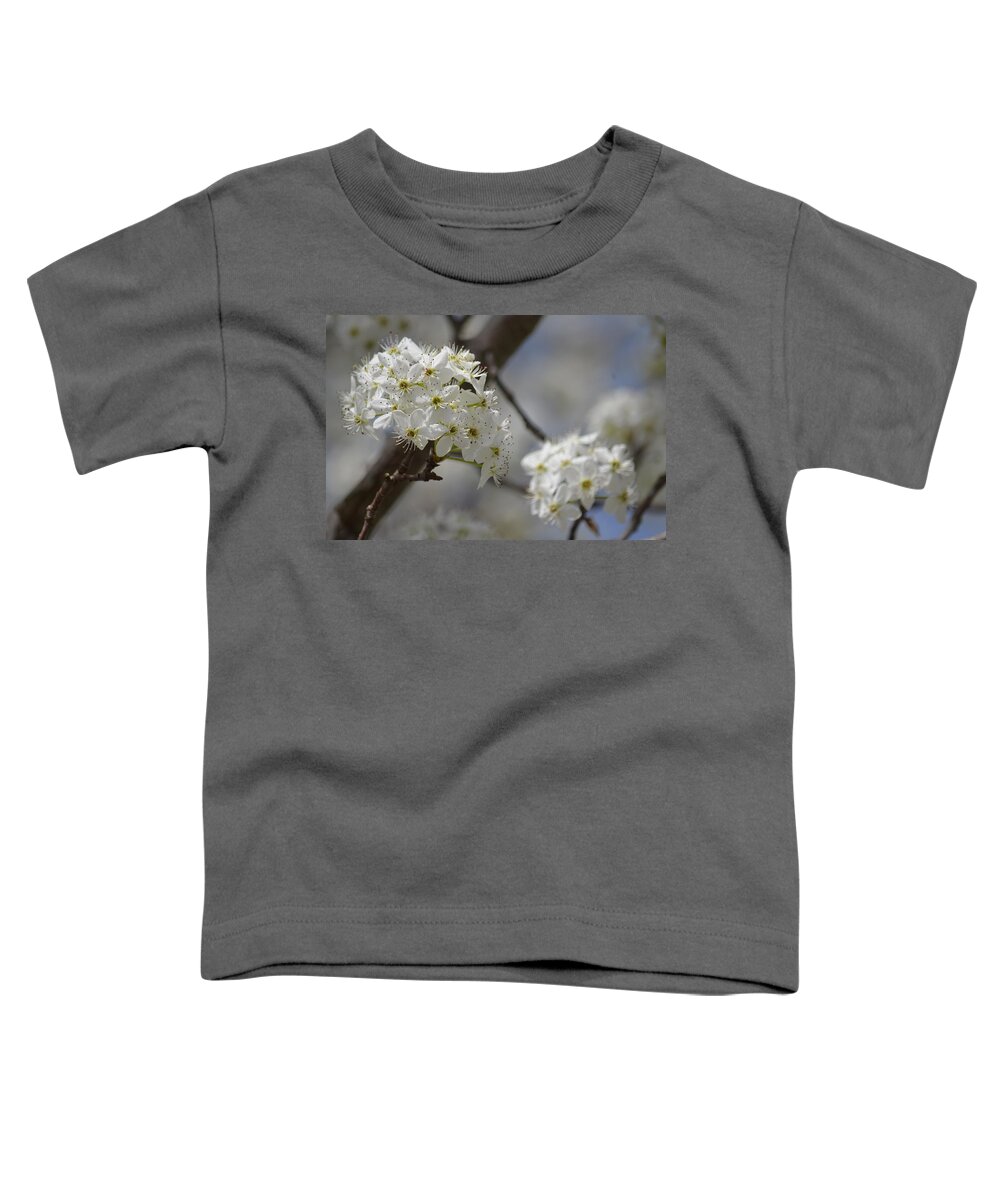 Bradford 15-05 Toddler T-Shirt featuring the photograph Bradford 15-05 by Maria Urso