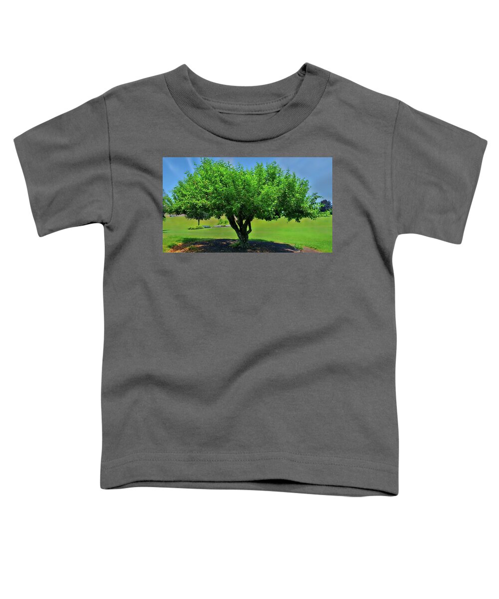 Tree Toddler T-Shirt featuring the photograph Branching Out by Dani McEvoy