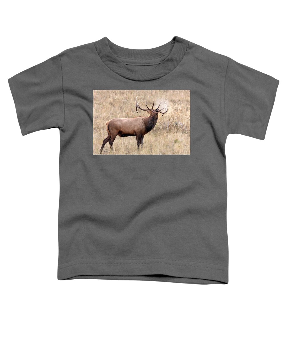 Bull Elk Toddler T-Shirt featuring the photograph Breath of Autumn by Jack Bell