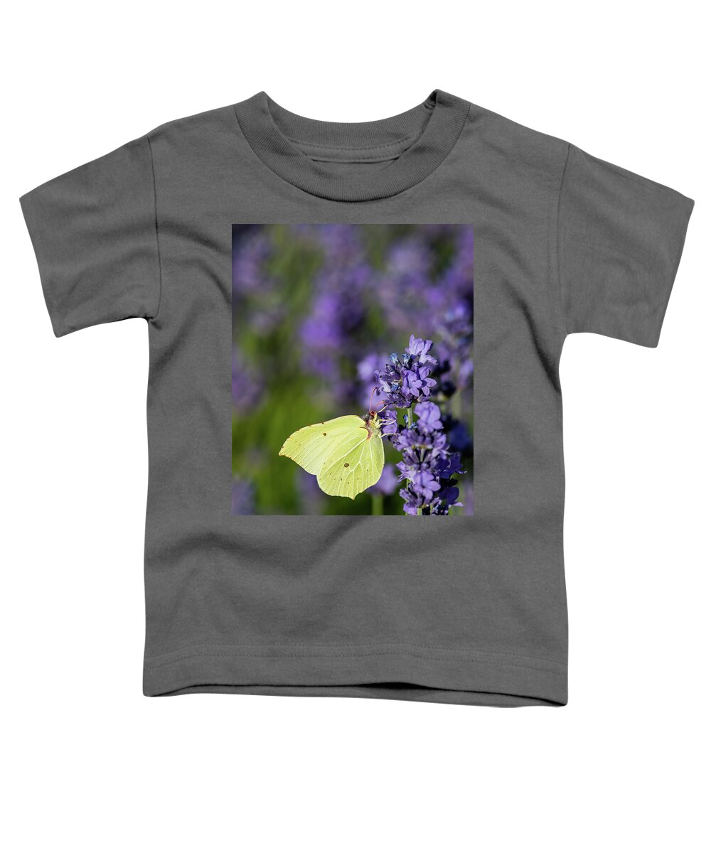 Brimstone Toddler T-Shirt featuring the photograph Brimstone butterfly and the lavender by Torbjorn Swenelius