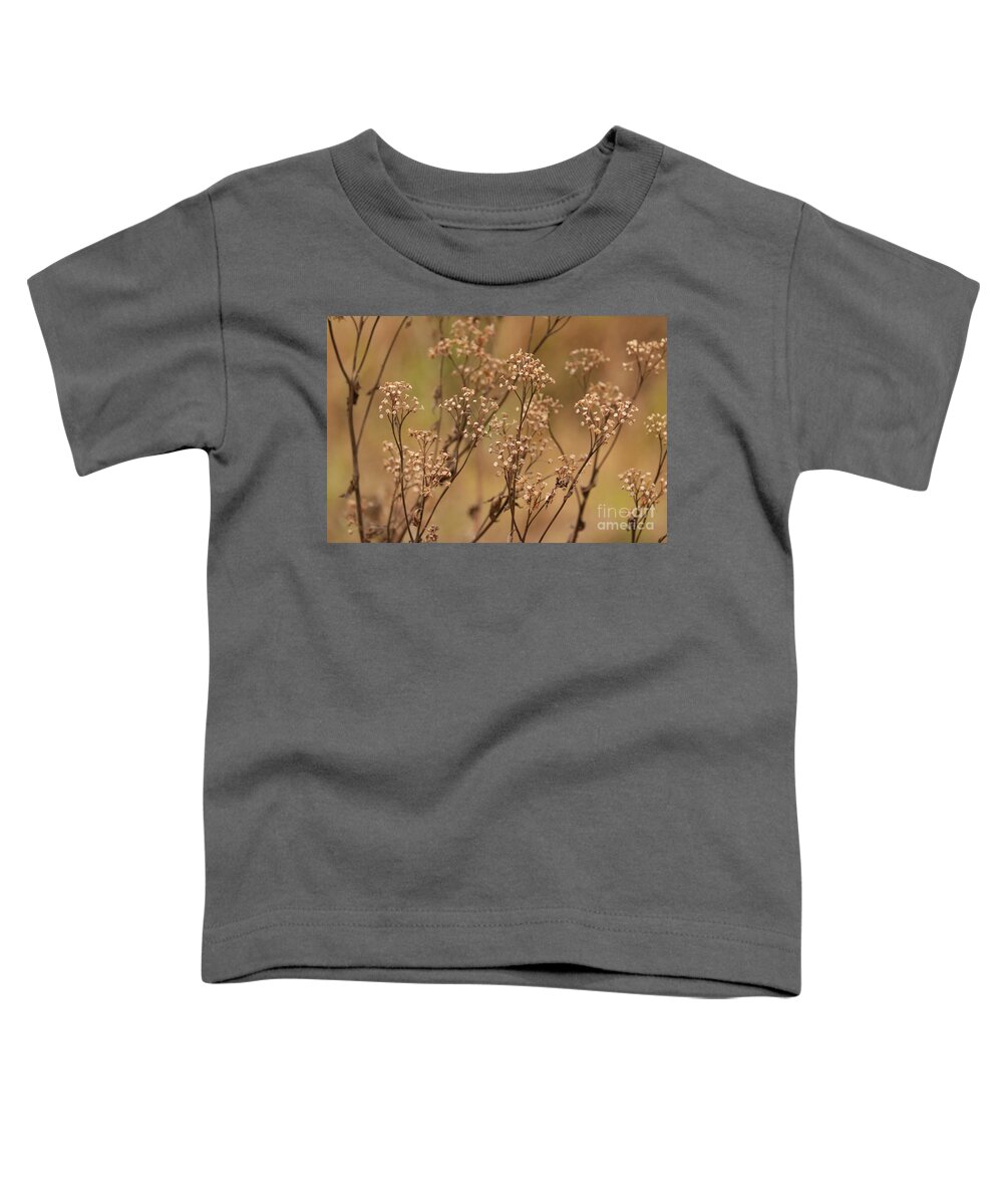 Nature Toddler T-Shirt featuring the photograph Brown Plants in the Marsh by Carol Groenen