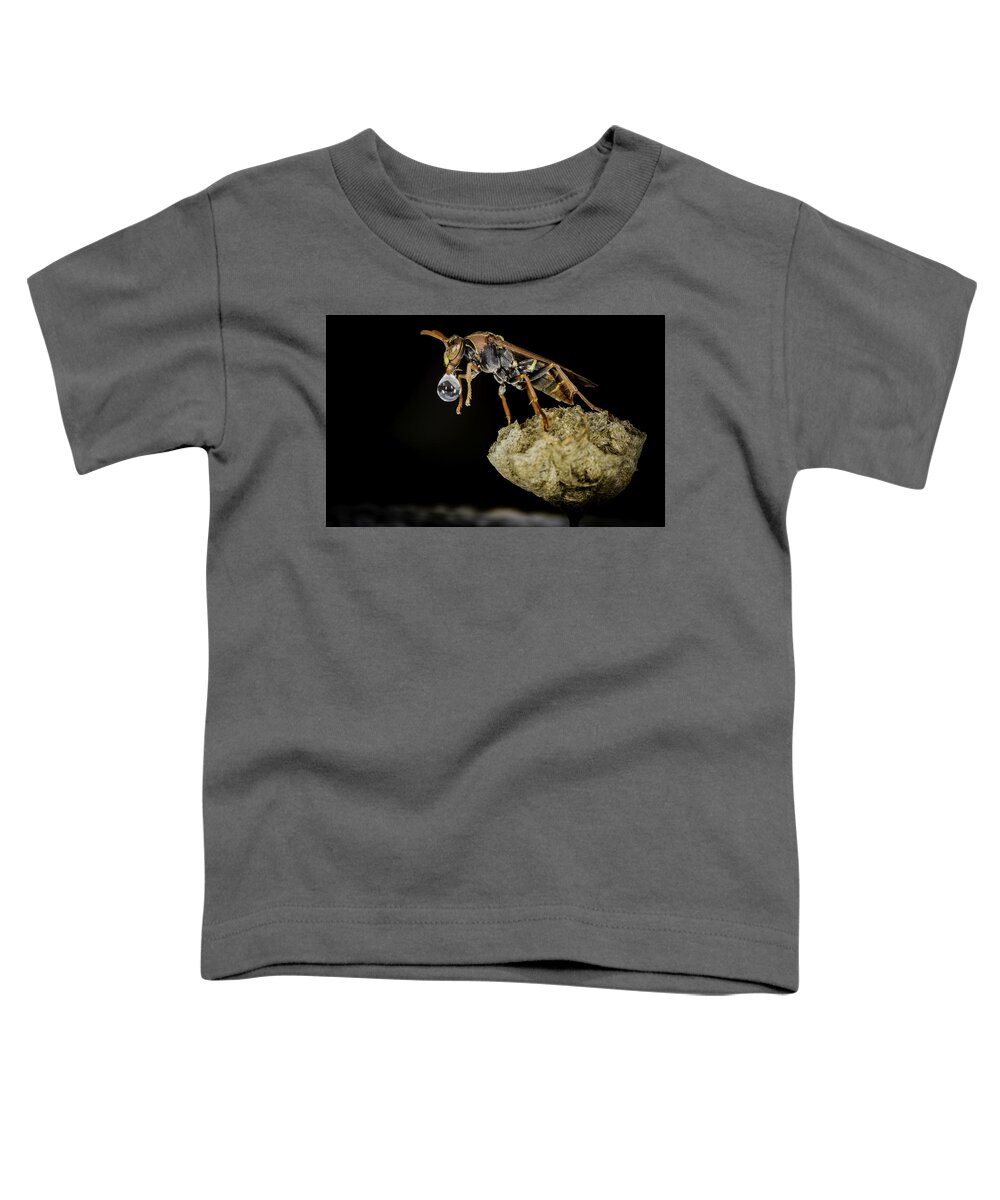 Macro Toddler T-Shirt featuring the photograph Bubble Blowing Wasp by Chris Cousins