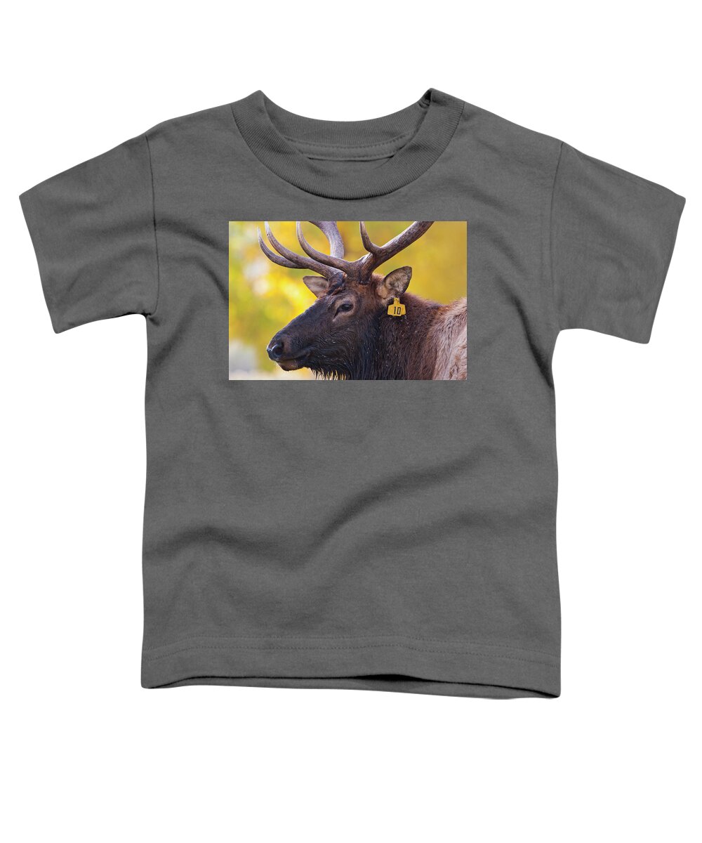 Bull Elk Number Ten Toddler T-Shirt featuring the photograph Bull Elk Number 10 by Mark Miller