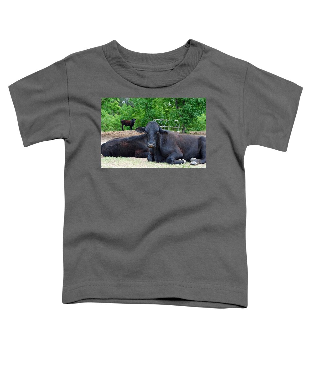 Cow Toddler T-Shirt featuring the photograph Bull Relaxing by Nathan Little