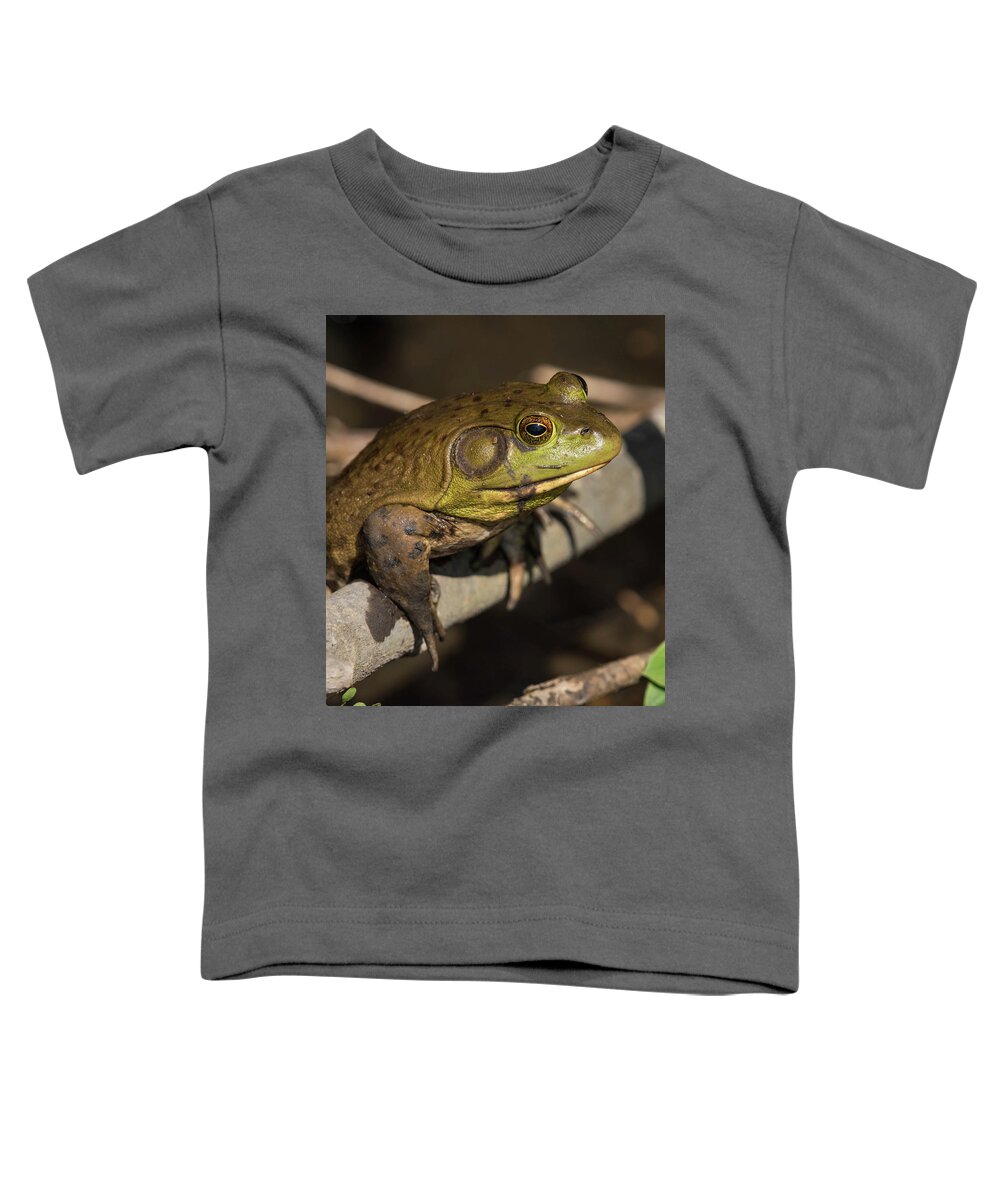 Frog Toddler T-Shirt featuring the photograph Bullfrog by Jody Partin