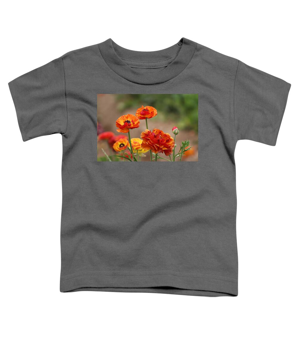 Burnt Orange Ranunculus Toddler T-Shirt featuring the photograph Burnt Orange Ranunculus by Colleen Cornelius