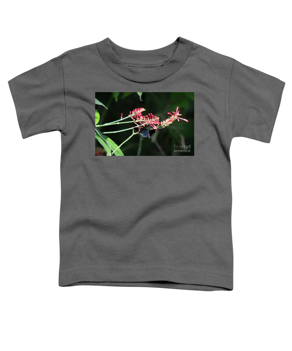 Nature Toddler T-Shirt featuring the photograph Butterfly in Flight by Ed Taylor