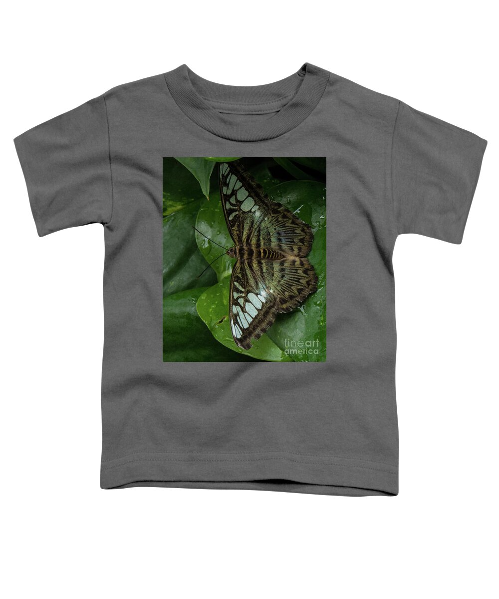 Butterfly Toddler T-Shirt featuring the photograph Butterfly 4 by Christy Garavetto