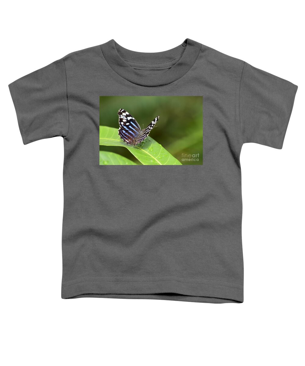 Butterfly Colorful Toddler T-Shirt featuring the photograph Butterfly by Teresa Zieba