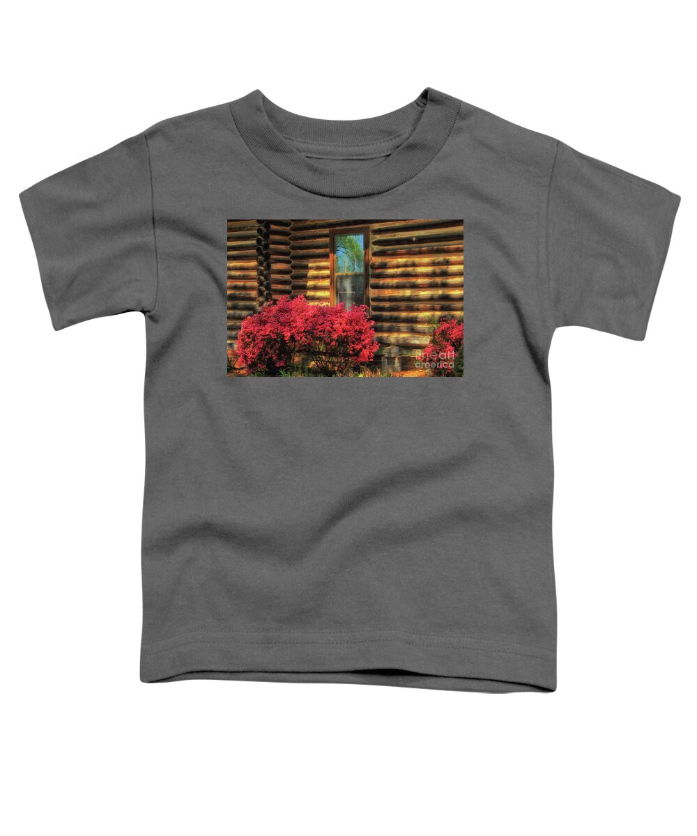 Log Cabin Toddler T-Shirt featuring the photograph Cabin Delight by Geraldine DeBoer