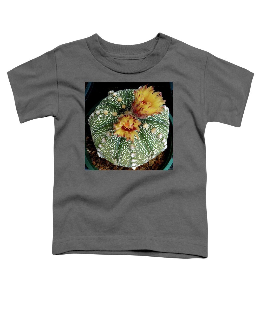 Cactus Toddler T-Shirt featuring the photograph Cactus Flower 10 by Selena Boron