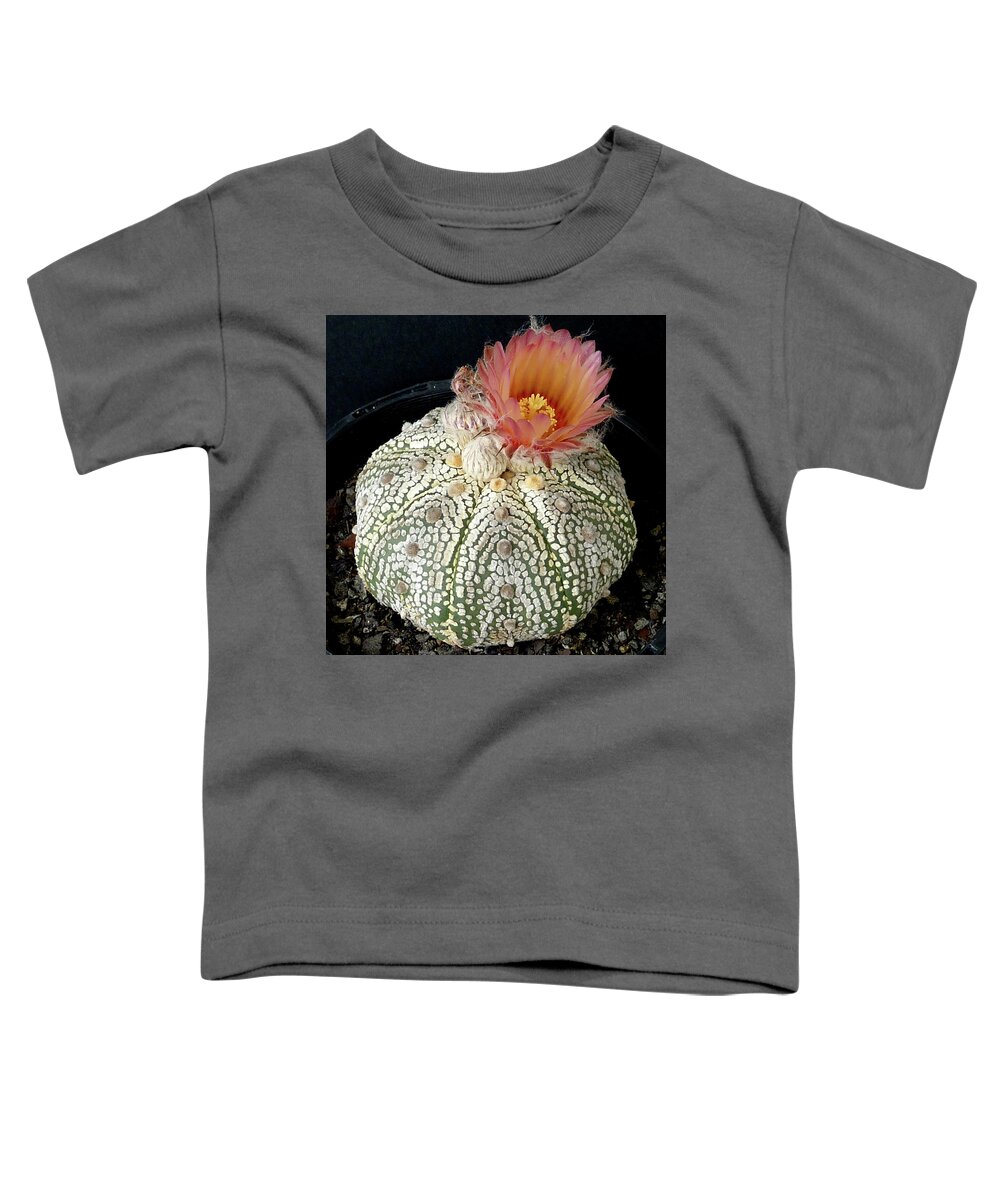 Cactus Toddler T-Shirt featuring the photograph Cactus Flower 4 by Selena Boron