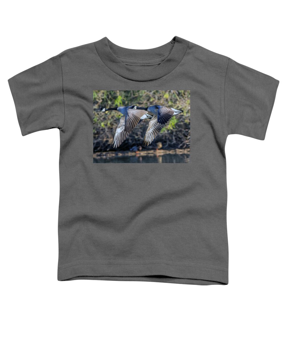Canada Toddler T-Shirt featuring the photograph Canada Geese 1733-011917-1cr by Tam Ryan
