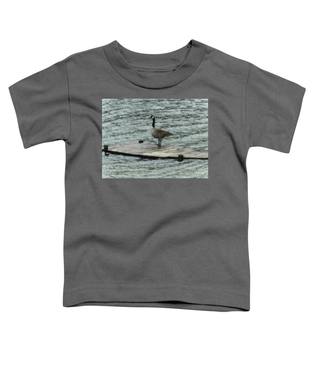Canada Goose Toddler T-Shirt featuring the photograph Canada Goose Lake Dock by Rockin Docks Deluxephotos