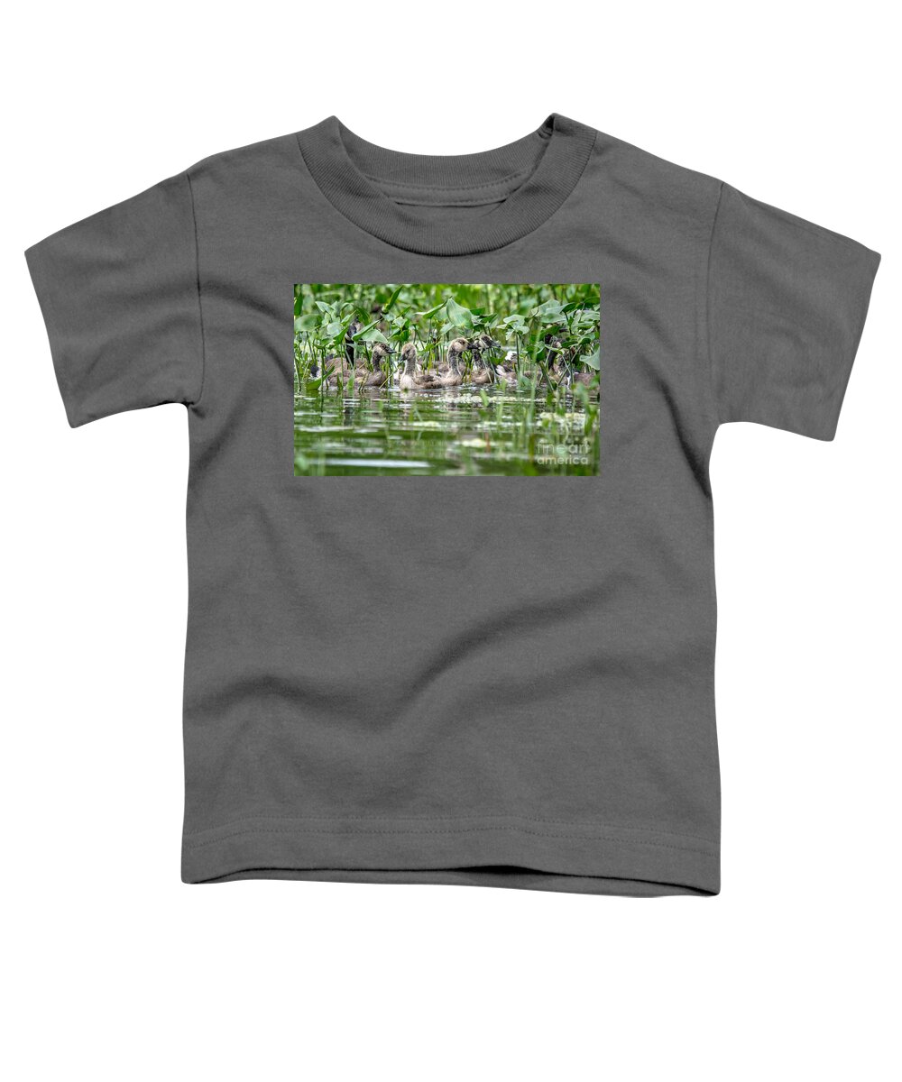 Cheryl Baxter Photography Toddler T-Shirt featuring the photograph Canadian Geese on the Pond by Cheryl Baxter
