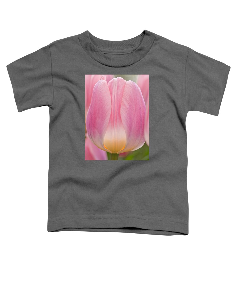 Beauty Toddler T-Shirt featuring the photograph Candlelight by Eggers Photography