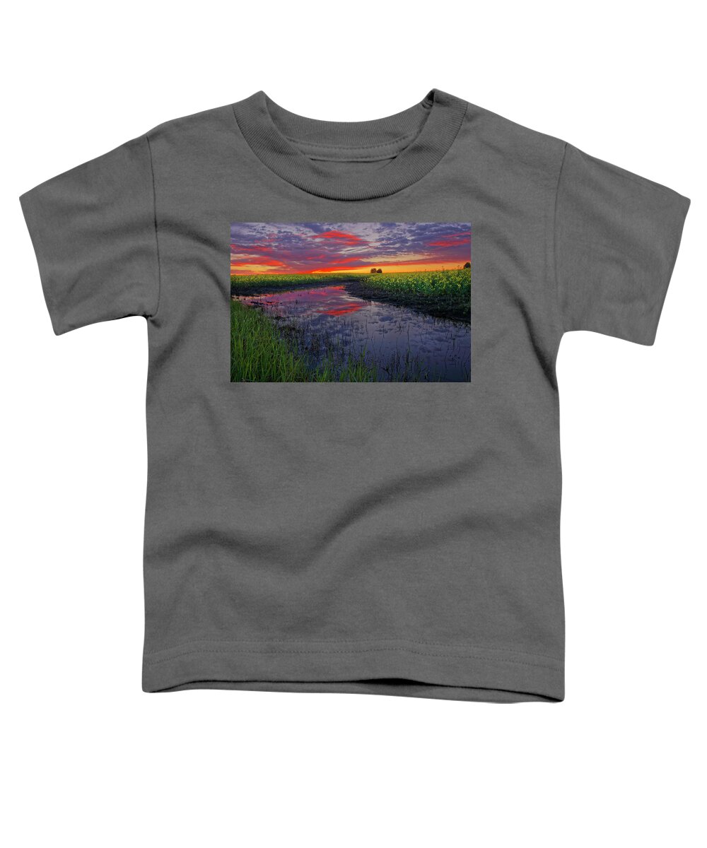 Canola Toddler T-Shirt featuring the photograph Canola at Dawn by Dan Jurak