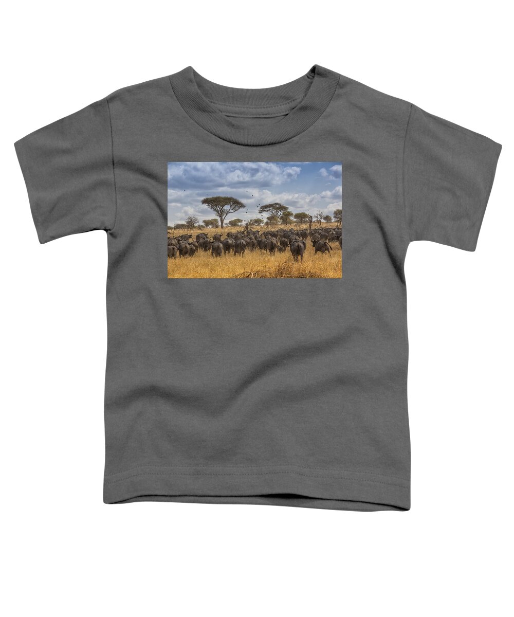 African Buffalo Toddler T-Shirt featuring the tapestry - textile Cape Buffalo Herd by Kathy Adams Clark