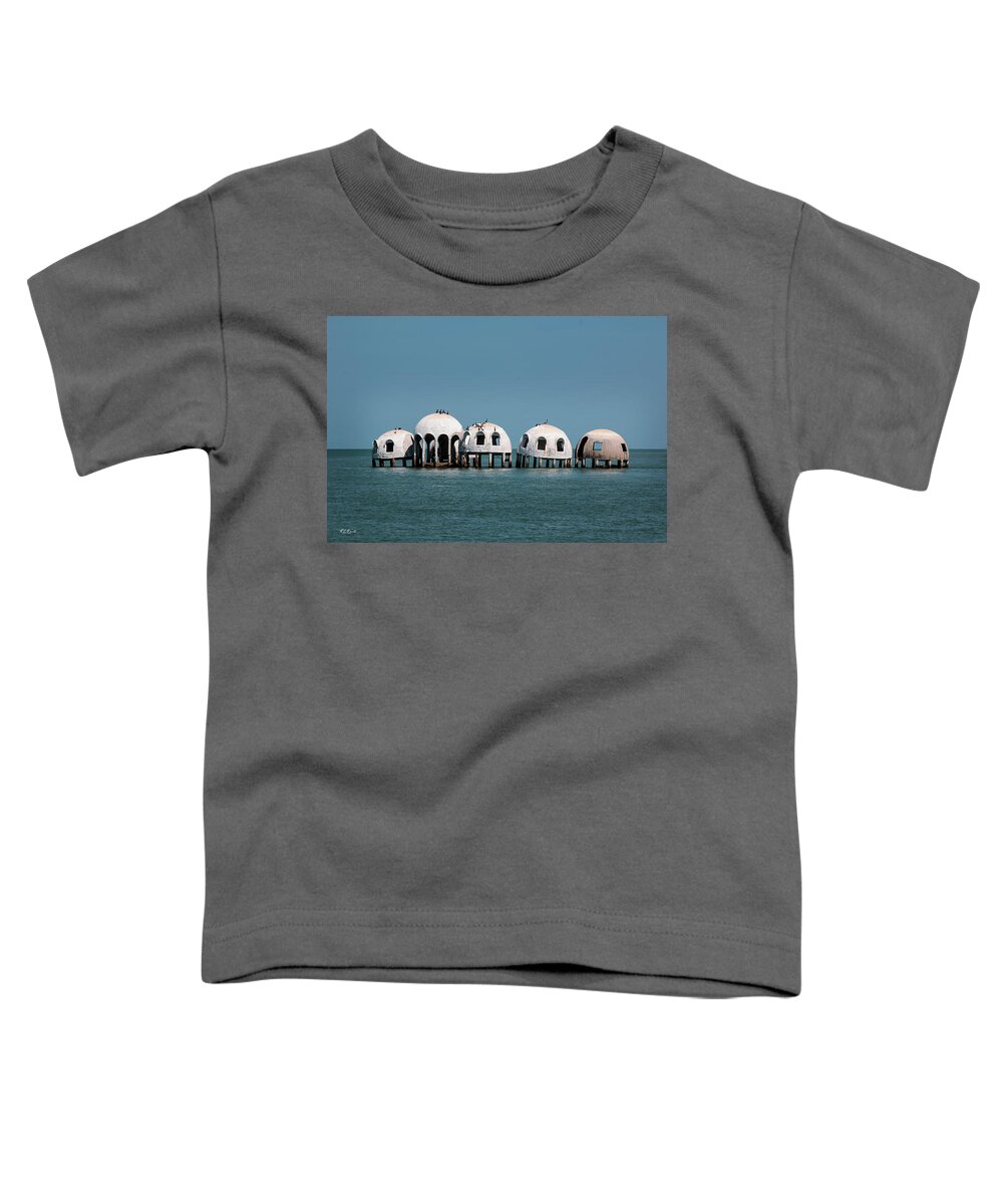 Florida Toddler T-Shirt featuring the photograph Cape Romano - Domed Homes - In the Gulf by Ronald Reid