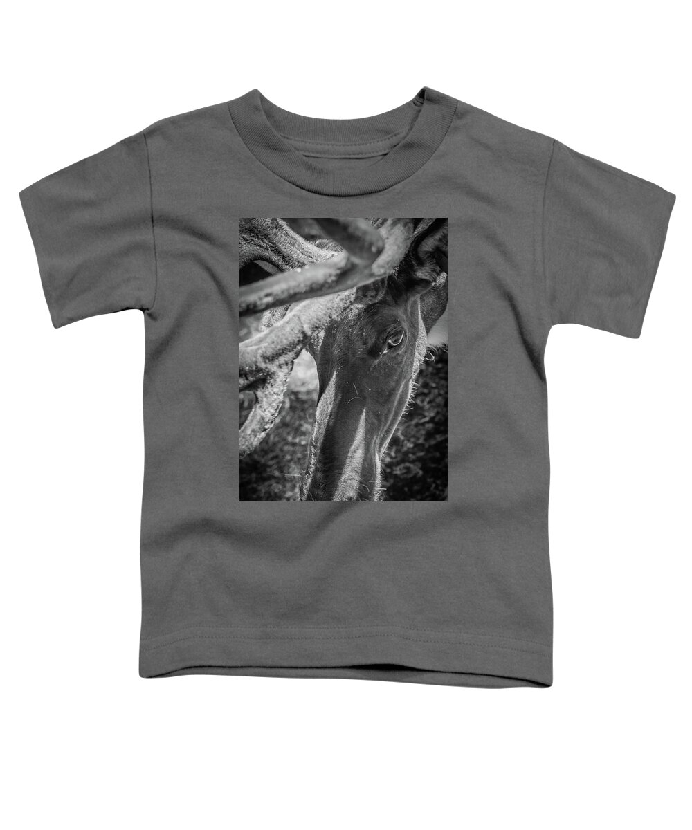 Wildlife Toddler T-Shirt featuring the photograph Caribou black and white by Jason Brooks