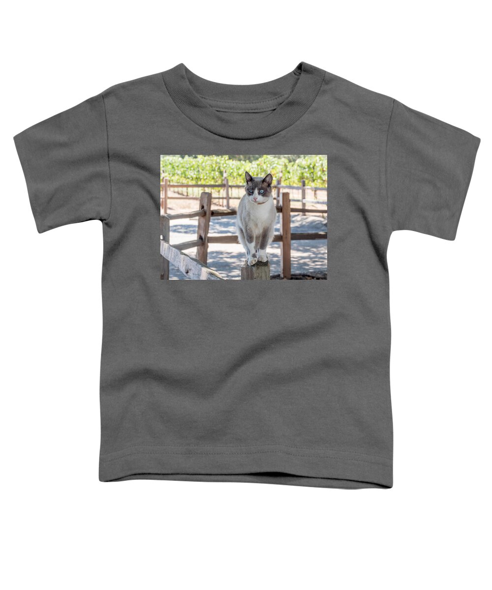 Cat Toddler T-Shirt featuring the photograph Cat on a Wooden Fence Post by Derek Dean