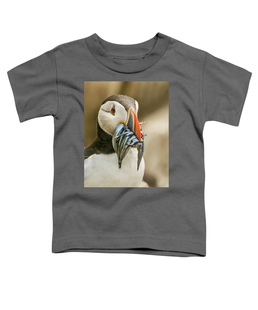 Puffin Toddler T-Shirt featuring the photograph Catch of the day by Brian Tarr