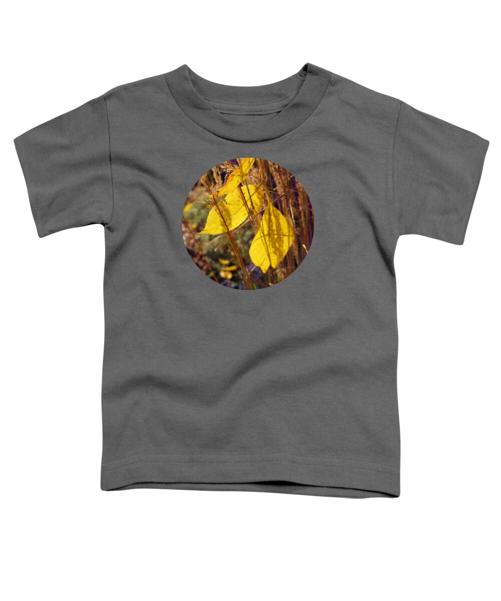 Golden Leaves Toddler T-Shirt featuring the photograph Catching Some Gold by Mary Wolf