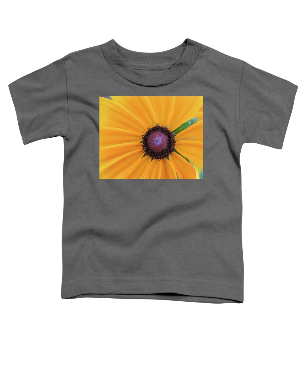 Ebd Toddler T-Shirt featuring the photograph Center Stage by David Coblitz