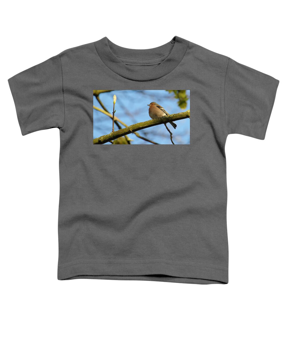 Bird Toddler T-Shirt featuring the photograph Chaffinch And Bud by Adrian Wale