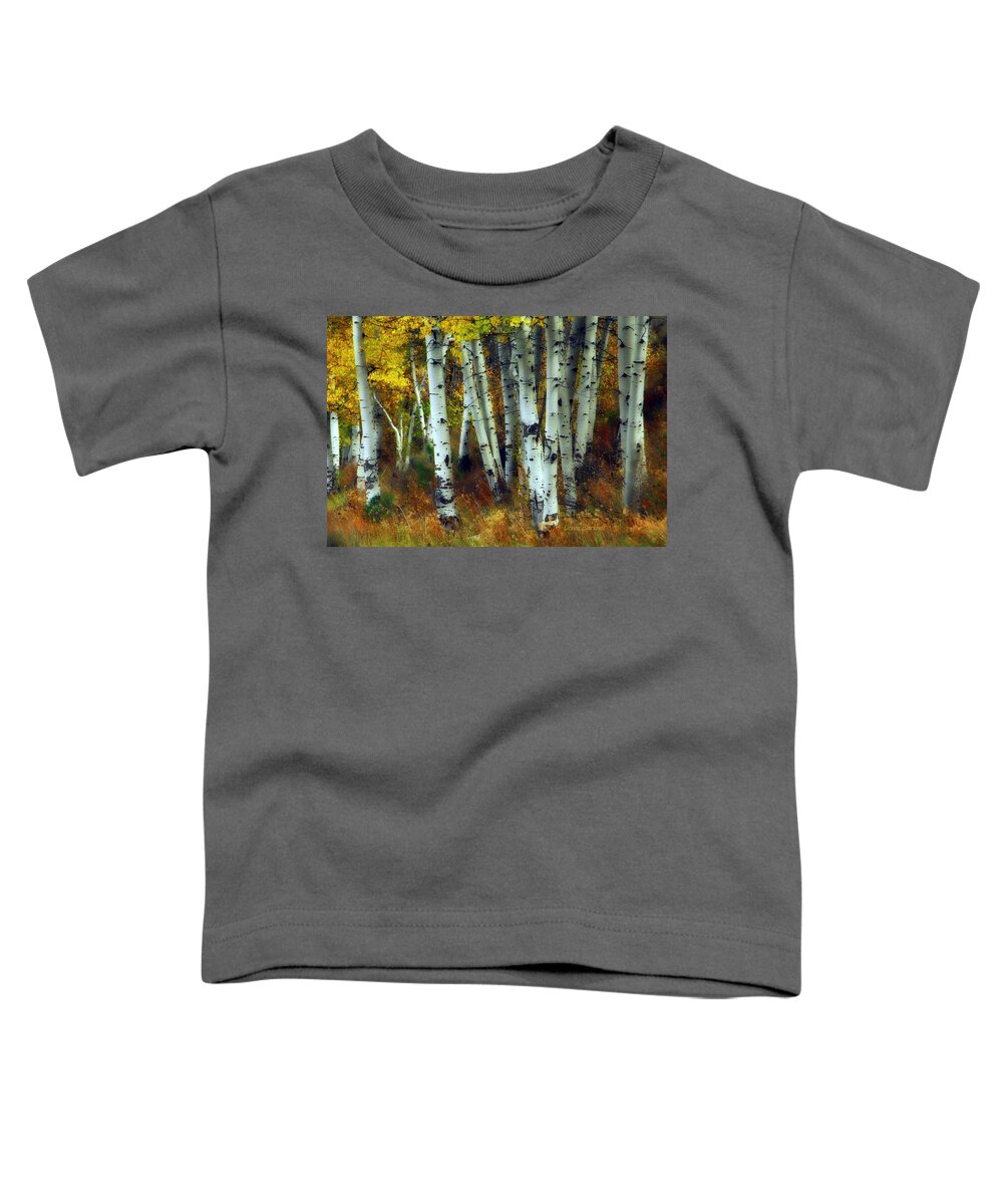 Birch Trees Toddler T-Shirt featuring the photograph Changing Season by Donna Blackhall