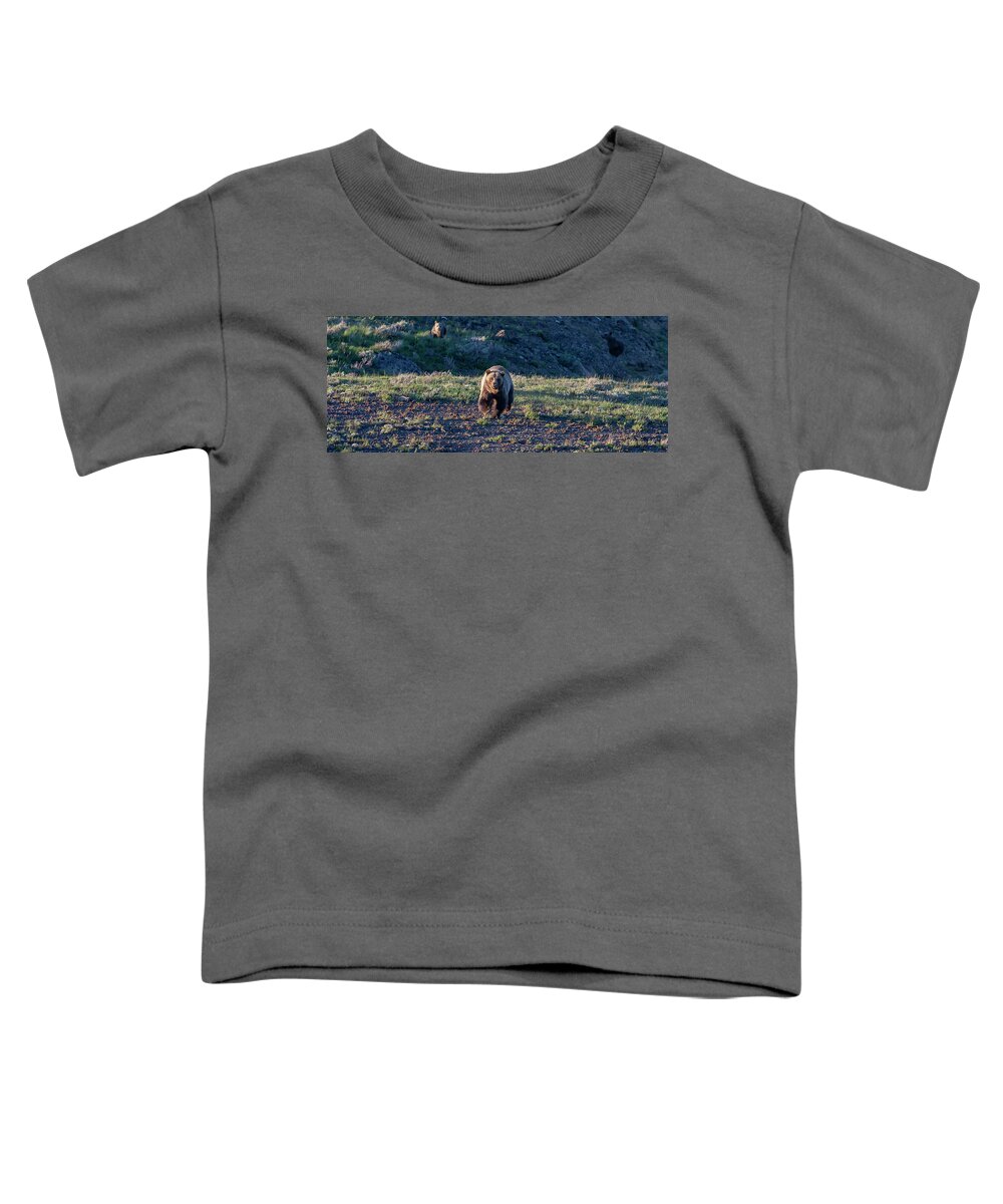 Grizzly Bear Toddler T-Shirt featuring the photograph Charging Grizzly by Mark Miller
