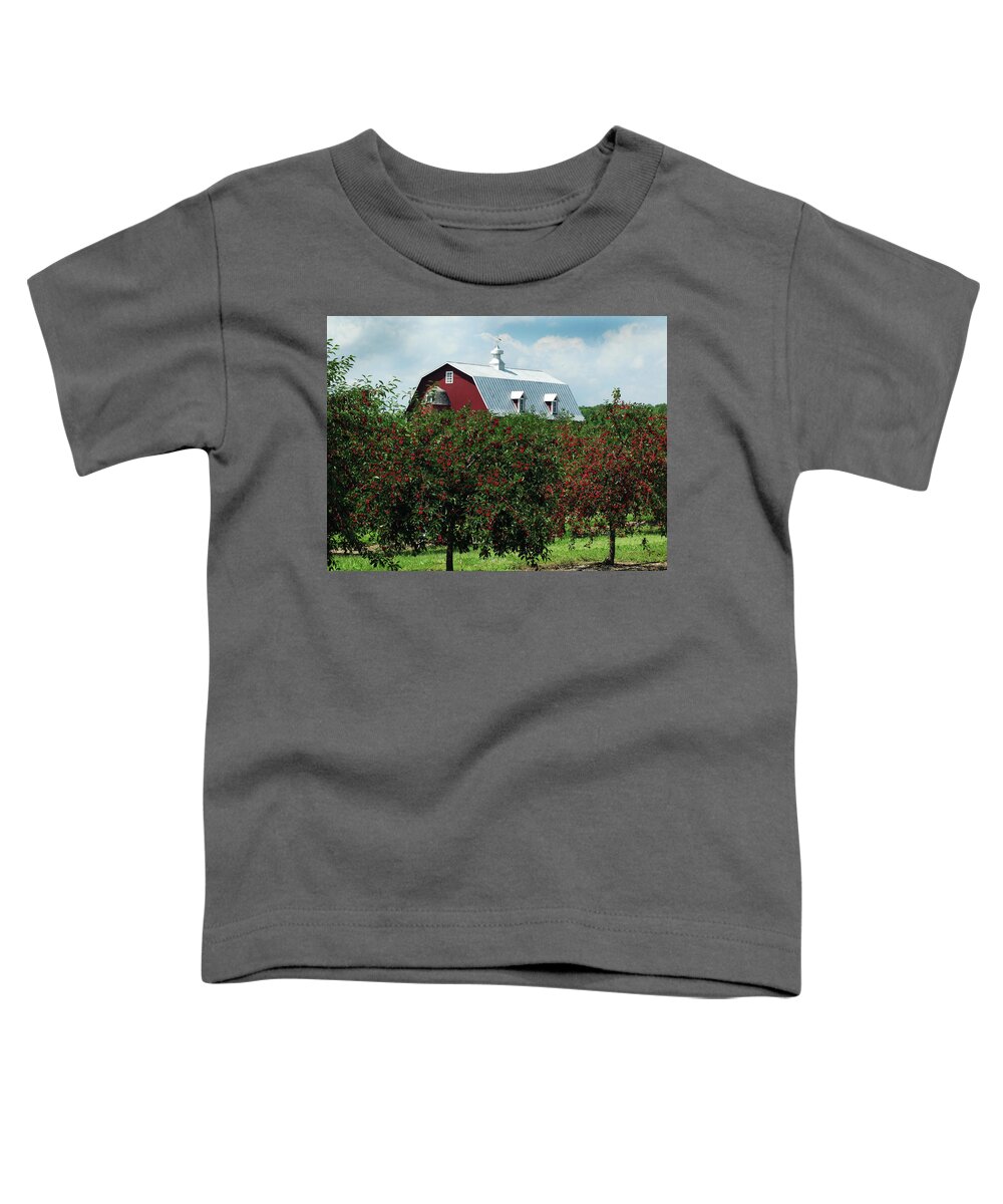 Door County Toddler T-Shirt featuring the photograph Cherry Orchard and Barn by David T Wilkinson