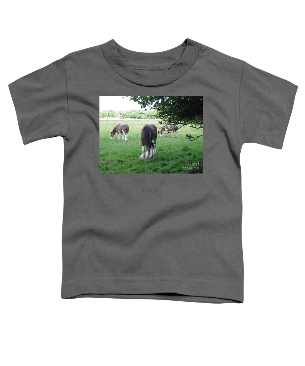 Horse Toddler T-Shirt featuring the photograph Chestnut Clydesdales by Brandy Woods